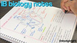 study with me: IB biology notes | studybright