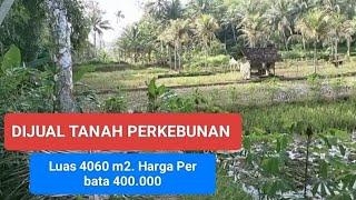 Dijual Tanah Buat Perkebunan Luas 4060 m2. Per bata Cuma 400.000 Nego