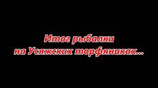 Рыбалка на Усяжских торфяниках. ХОРОШИЙ УЛОВ или ТРАТА ВРЕМЕНИ. Поиск ЩУКИ/Fishing in Belarus