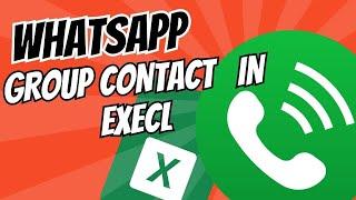 How to export Whatsapp group contacts in Excel (Step By Step) 2024