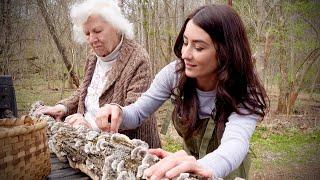 Do you know about Turkey Tail Mushrooms??