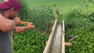 Slingshot Target Shooting For Birds Hunting Season!