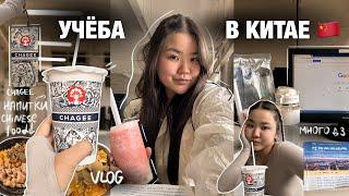 УЧЕБА В КИТАЕ | или как ВыЖиТЬ // *не для слабаков* | ВЛОГ