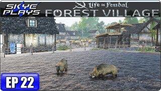 Life Is Feudal Forest Village Let's Play / Gameplay - Ep 22 - PIGS