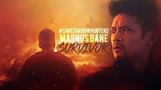 Magnus Bane -Survivor-