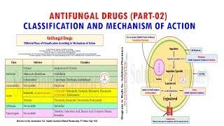 Antifungal Drug (Part 02)= Classification & Mechanism of Action of Antifungal Medicines | Antifungal