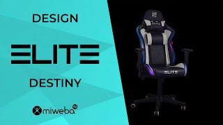 Elite Gaming DESTINY  - RGB LED Beleuchtung - Ergonomischer Gamingstuhl | MG200 Gaming Room Upgrade