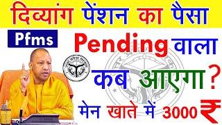 Uttar Pradesh : दिव्यांग पेंशन कब आयेगा | Pfms Pending | divyang pension kab aayegi | viklangpension