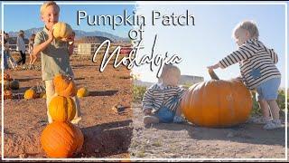 The Pumpkin Patch of Nostalgia!