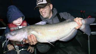 Mancing lele malam hari - Cara mancing lele dengan umpan hidup