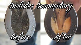 Hoof Restoration with Farrier Commentary - ASMR - Oddly Satisfying