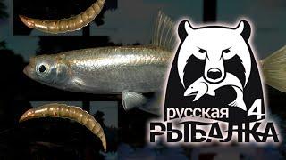 РЫБАЛОЧКА НА СВЕЖЕМ ВОЗДУХЕ - [Русская Рыбалка]