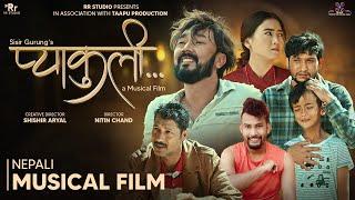 Pyakuli | Nepali Musical Film | Babul Giri | RR Khadka | Talisha | Ghanashyam  Mahesh | Ronis | 2024