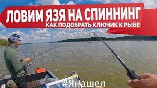 Как поймать язя на спиннинг? Открытие сезона рыбалки с лодки 2019  | Рыбалка с Fishingsib