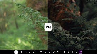Free Moody Free Luts | VN Luts  | Premiere Pro Lut | Cinema |Colour Grading In Mobile (VN Editor)