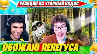 АТОМ СМОТРИТ: В МИРЕ ЖИВОТНЫХ С ФОРТНАЙТЕРАМИ PEPEGUS. ATOM НАРЕЗКА FORTNITE PRO PLAYS