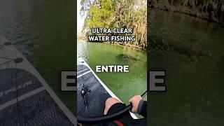 Crystal Clear Winter Bass Fishing  JMAXFISHING Adventure #bassfishing #shorts