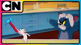 Tom and Jerry  | The Great Thanksgiving Milk  Heist! |  Cat and Mouse | Compilation | @cnindia