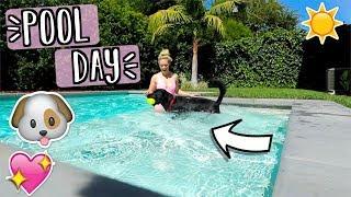 Our Dog Goes Swimming!! AlishaMarieVlogs