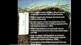 Role of Soil Biology in Improving Soil Quality