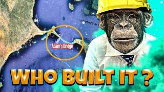 "Unveiling the Myth: Who Actually Built the Mysterious Adams Bridge?" | Rama Setu