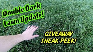 Getting A Thick & Deep Green Lawn | DIY Lawn Care