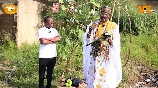 If you plant this plant in your house, you will be rich and your business will flourish -Idris Keere