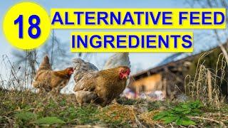 Top 18 Alternative Feed Ingredients for Chickens to Save Cost