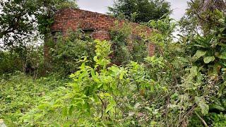 CLEAN UP the withering zone | The wonderful TRANSFORMATION of the GLOOMY HOUSE in the middle field