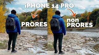 iPhone14Pro: ProRes vs Non ProRes | Can YOU Tell the Difference?!