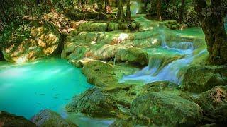 Turquoise water stream, Turquoise river and lake. Thai nature white noise