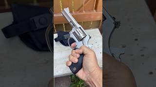 Taurus .22 LR Revolver