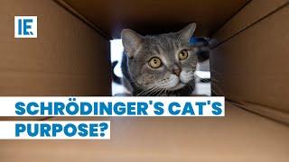 What does Schrödinger's Cat explain to us?