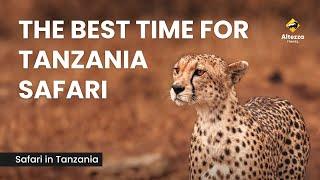 The Best Time for Tanzania Safari | Altezza Travel