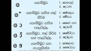 Grade 4   Sinhala   1st Term   Lesson 3   පිල්ලම් ඉගෙන ගනිමු