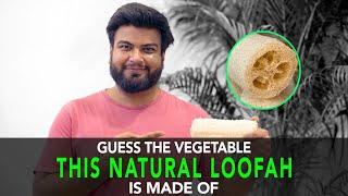 Guess The Vegetable This Natural Loofah Is Made Of | Anuj Ramatri - An EcoFreak
