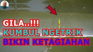 KUMBUL NGETRIK IKAN MAS