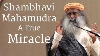 Shambhavi Mahamudra, A True Miracle - Sadhguru