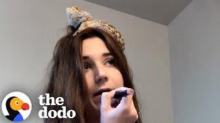 Beaded Dragon Is Obsessed With His Mom's Voice | The Dodo