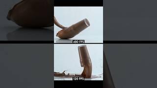 480 fps vs 120 fps slow motion test #fps #slowmotion #120fps