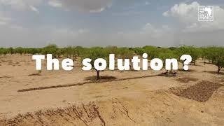 A Simple Solution to Poverty & the Climate Crisis