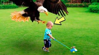 Орел внезапно хватает этого маленького мальчика, но причина этого всех удивила!