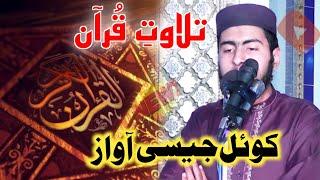 Tilawat e quran 2024 by Hafiz Hammad Kashif