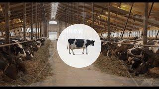 Lely Dairy XL principles - Build to manage - EN