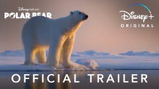 Official Trailer | Disneynature’s Polar Bear | Disney+ Singapore