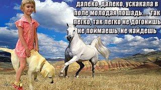 Детская песенка про молодую лошадь