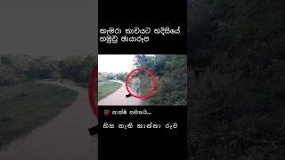 හොල්මන් කතා | ghost | japala production #short #2023 #shortvideo #whatsappstatus #viral හිස නැති ලද