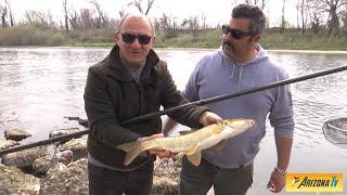 MONDO PESCA - BOLOGNESE AL MICROSCOPIO - FIUME ADDA  - TUTORIAL PESCA ALLA BOLOGNESE - #pescare