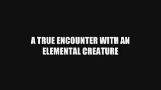 A True Encounter With An Elemental Creature