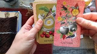 COASTAL CURIOSITIES ORACLE DECK | Flipthrough & Review